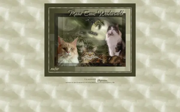 maine-coons-wonderworld.de