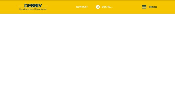 debriv.de