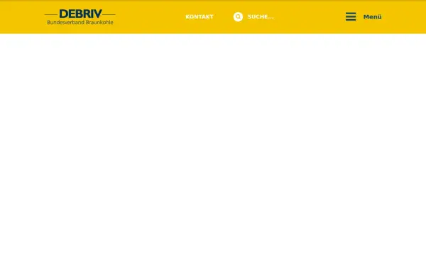 debriv.de