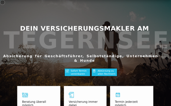 strauss-finanz.de
