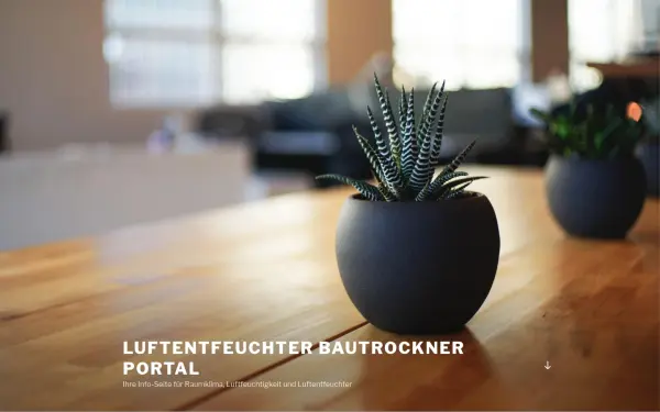 www.luftentfeuchter-bautrockner.de