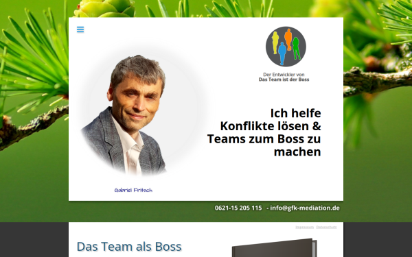 www.gfk-mediation.de