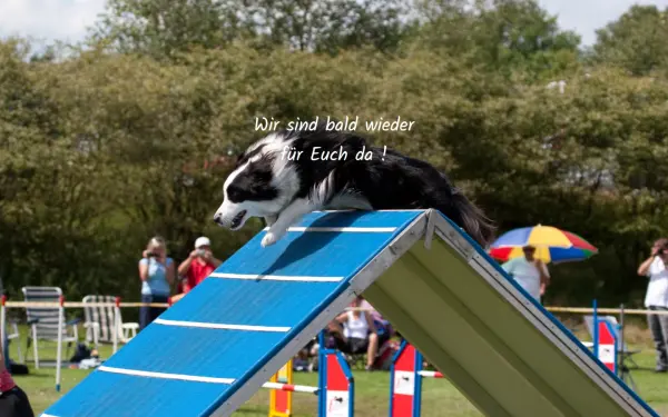 agility.de