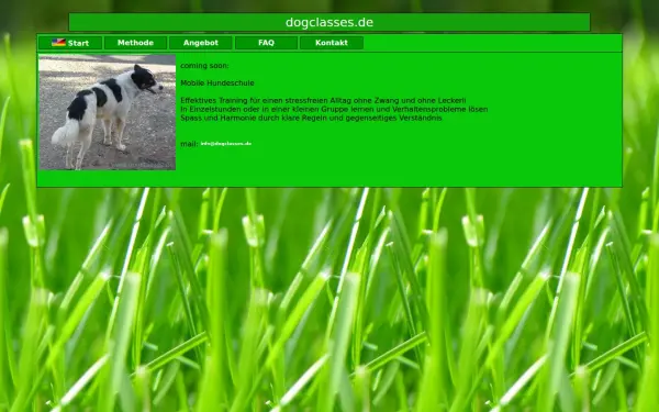 dogclasses.de