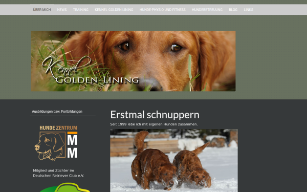 www.golden-lining.de
