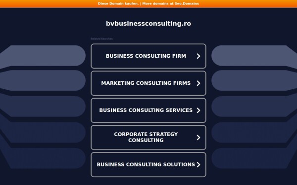 blog.bvbusinessconsulting.ro