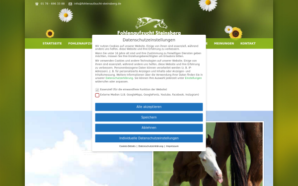www.fohlenaufzucht-steinsberg.de