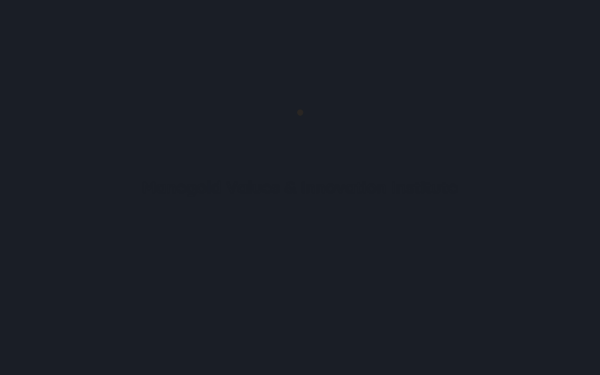 www.mvii.de