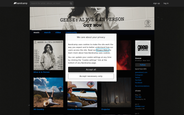 geesebandnyc.bandcamp.com