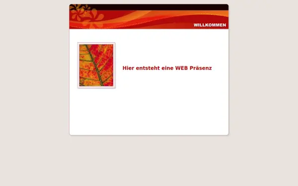 api-schroeder.de