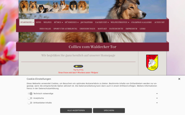 collies-vom-waldecker-tor.de