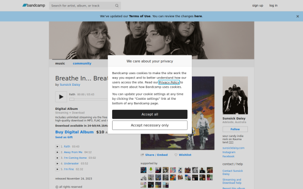 sunsickdaisy.bandcamp.com