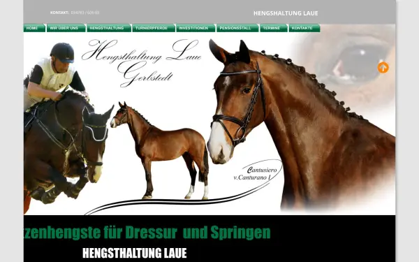 hengsthaltung-laue.de