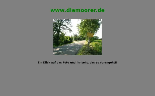 diemoorer.de