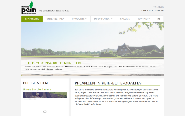 henningpein.de