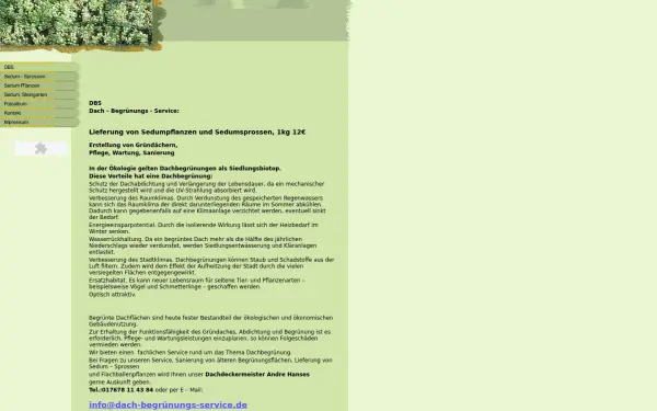 dach-begruenungs-service.de