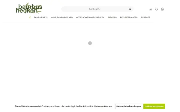 www.bambushecken.de