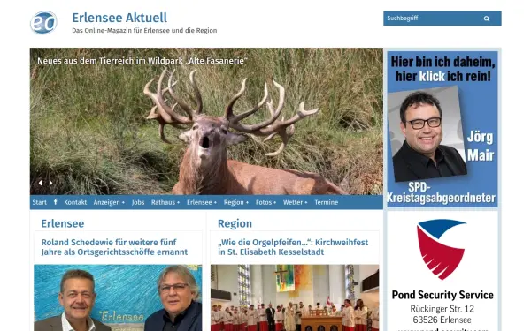erlensee-aktuell.com