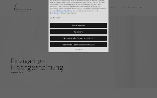 www.diesein-friseure.de