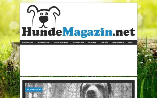 www.hundemagazin.net