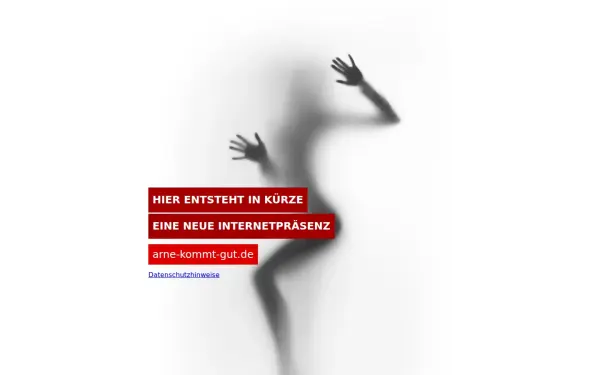 arne-kommt-gut.de