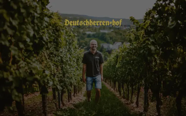 weingut-deutschherrenhof.de