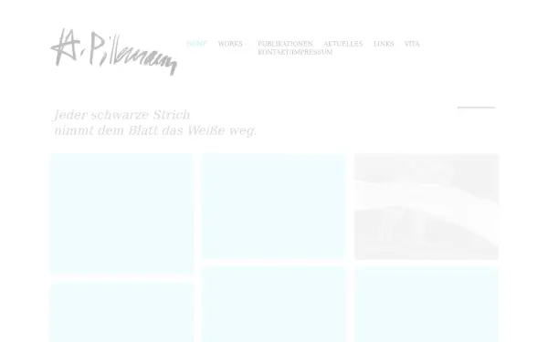 heikepillemann.de