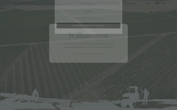 marc-ritzinger.de