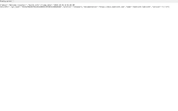 api.modrinth.com