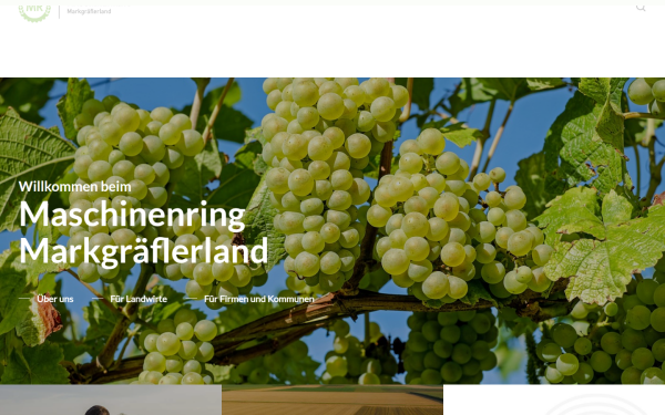 mr-markgraeflerland.de