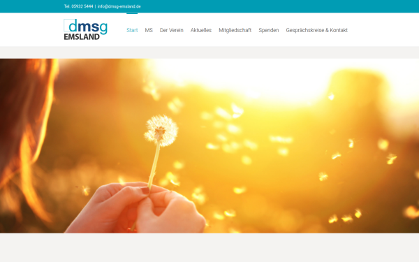 www.dmsg-emsland.de