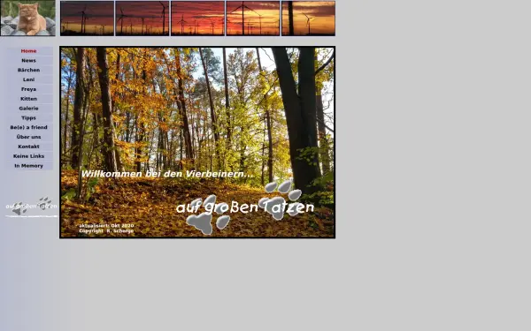 auf-grossen-tatzen.de
