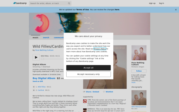 purebathingculture.bandcamp.com