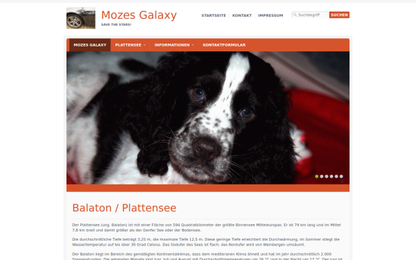 mozes.de
