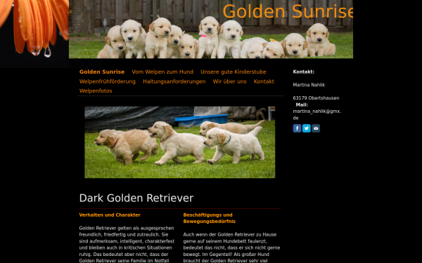 golden-sunrise-retriever.jimdofree.com