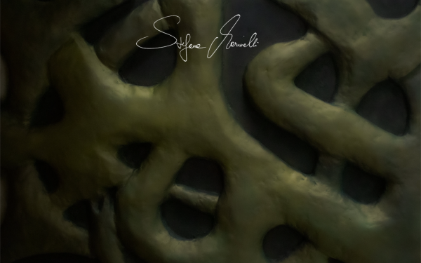 stefanomarinelli.art