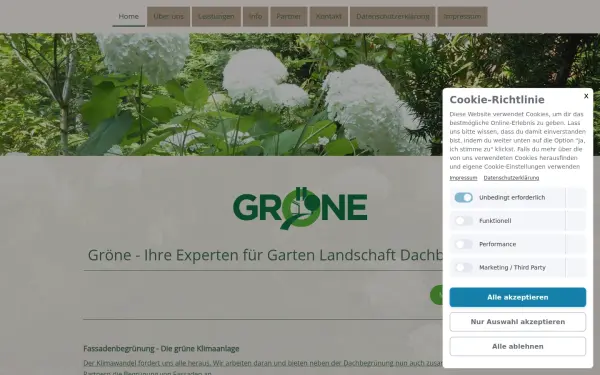 www.groene-dinklage.com
