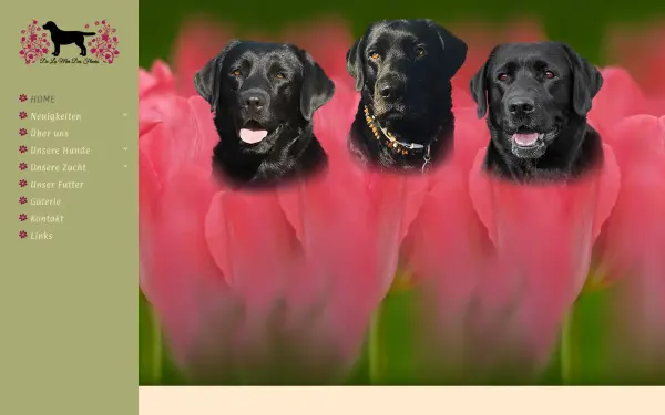 www.delamerdesfleurs.de
