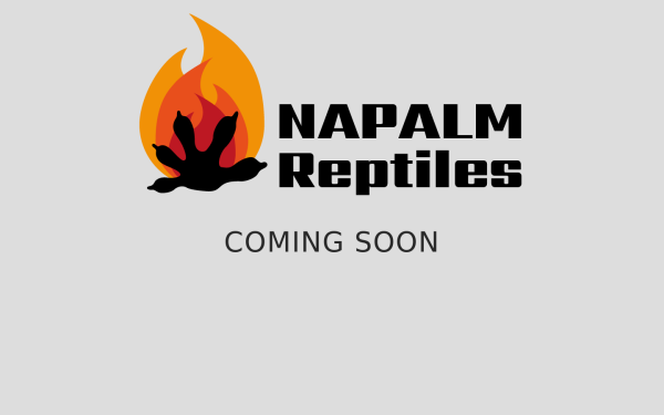 napalm.at