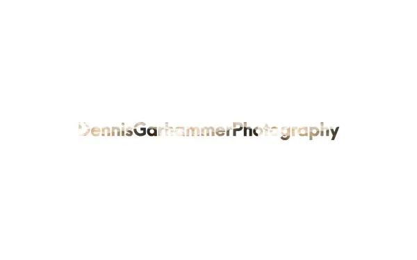 www.dennisgarhammer.de