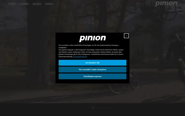 pinion.eu