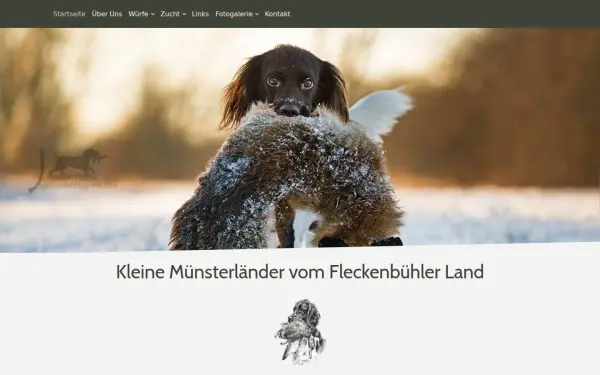 diefleckenbuehler-klm.de