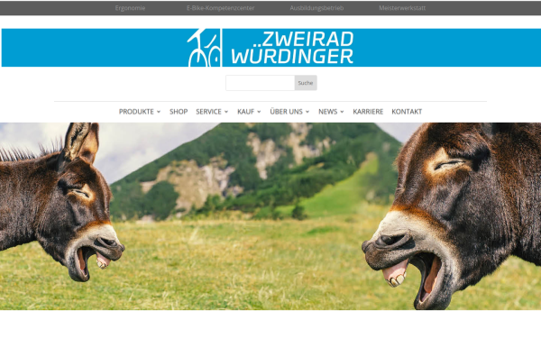 www.wuerdinger.de