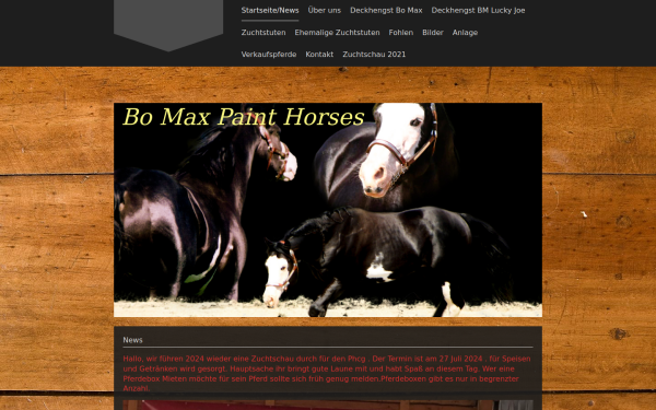 www.bo-max-paint-horses.de
