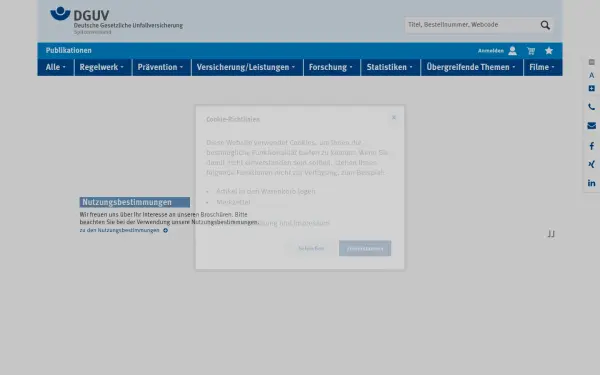 publikationen.dguv.de