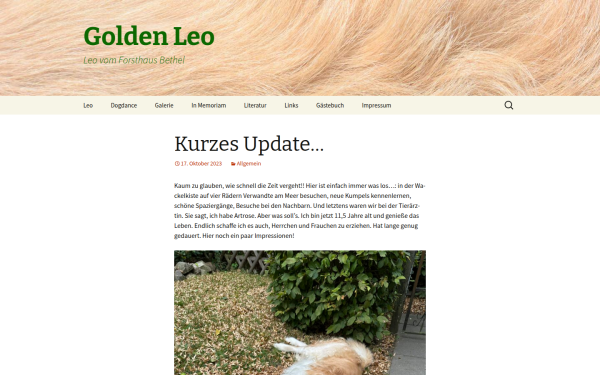 golden-leo.de