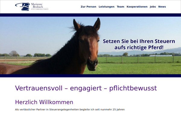 stb-brubach.de
