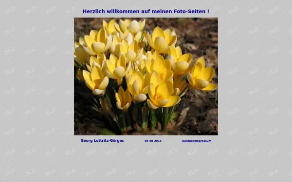 lottritz.de