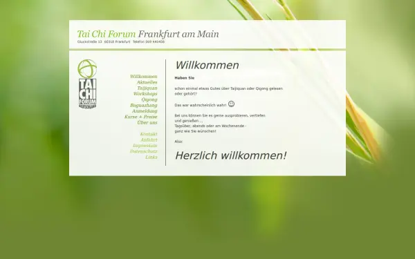 taichi-frankfurt.de
