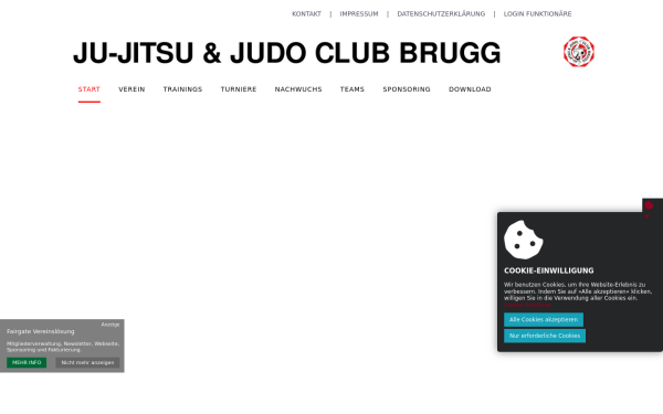 jjjcbrugg.ch